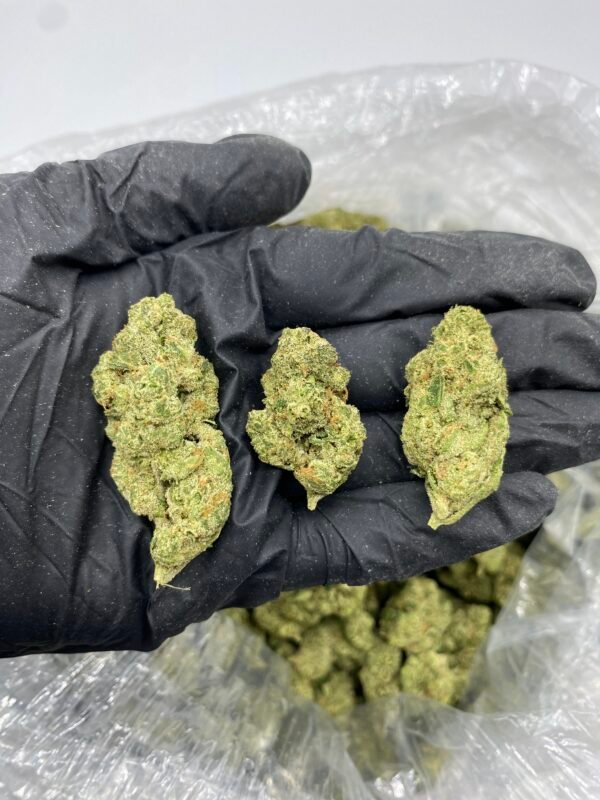 CHERRY LEMON TARTS 1 LB