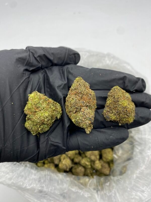 BLACK CHERRY GELATO 1 LB