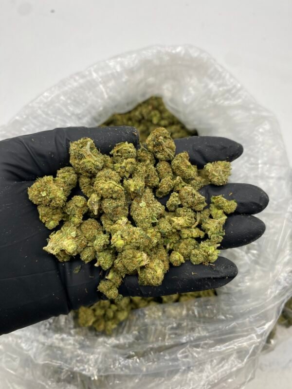 VENOM OG SMALLS 1 LB